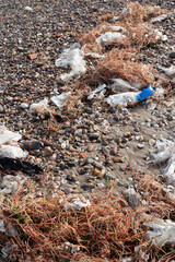 garbage in the forest