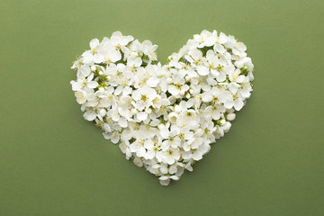 Heart of flowers on a green background. The concept of ecology, health and beauty.