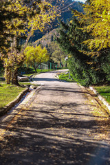 The road leading to the mountains, among the trees. Located in the conservation area. A place to relax with your family. Fresh air and sunny weather make you forget about the city bustle.