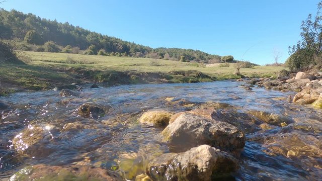 Small river crossing a high mountain meadow, with crystal clear water, surrounded by green grass and trees during a sunny day, 4k
