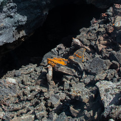 coal burning in a fire