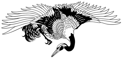 Flying crane. Japanese red crowned bird. Black and white tattoo. Isolated vector illustration