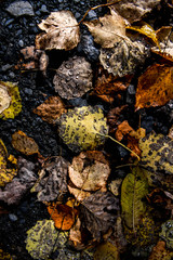 Texture