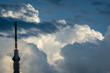 Fototapeta premium 青空とスカイツリー