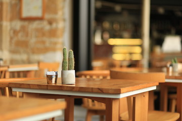image of wooden table with cactus on top in front of abstract blurred background of restaurant lights