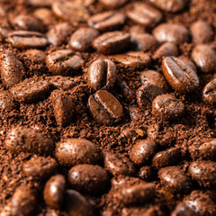 roasted coffee beans