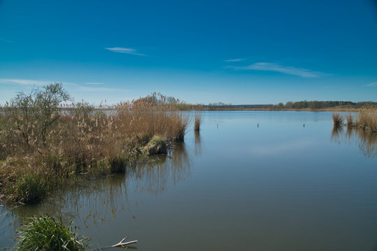 Blankensee