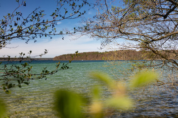 landscape with trees and blue lake