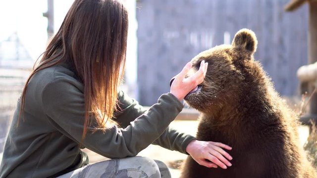 Detail close up - The Zoo keeper gives a suckling thumb to a young cute bear who thinks it's his mother - detail close up - 4k