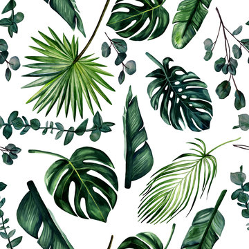 Watercolor hand painted seamless pattern with monstera, banana tree and palm leaves and eucalyptus branches on white  background.