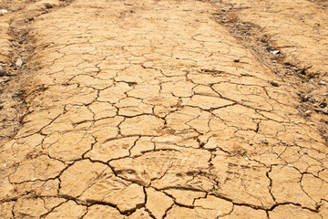 Dried yellow soil crack. Environmental problem drought and thirst. Close up.