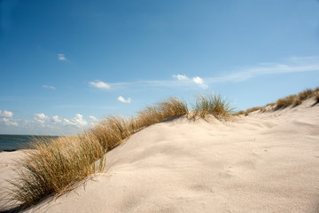 grass at white dunes
