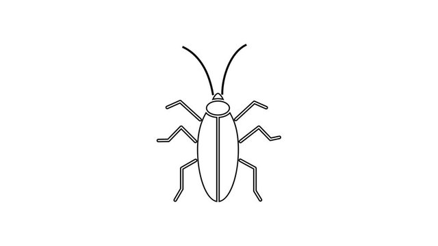 Black line Cockroach icon isolated on white background. 4K Video motion graphic animation