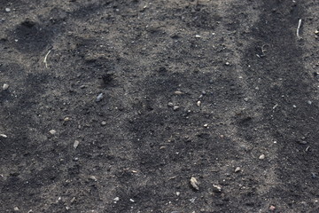 Surface of black soil and humus with manure