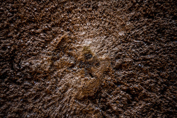 Texture
