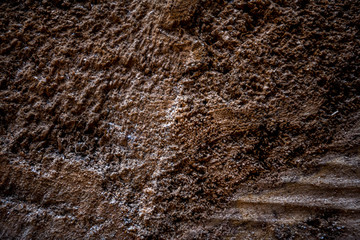 Texture