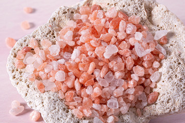  Pink Himalayan Salt in a Sea Shell