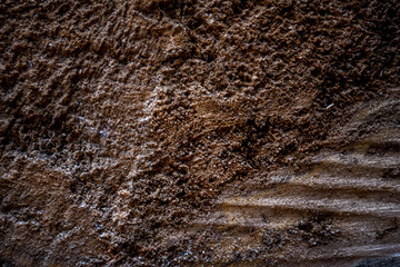 Texture