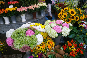Fototapeta na wymiar Flowers on the street of Vienna. Austria