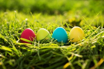 colorful easter eggs in grass