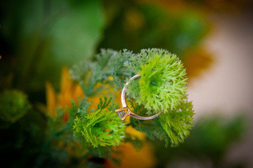 anillo de compromiso