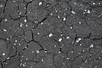 Surface of black soil and humus with manure