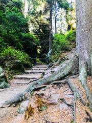 Mountain trail in Poland