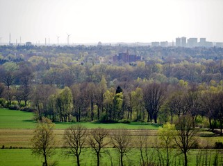 Fototapeta na wymiar Landschaft von Hamburg