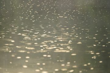 Highlights in the water of a river. Highlight dots. Warm light. Background image.