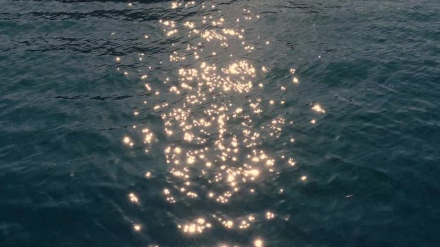 helles sonniges Funkeln auf der Wasseroberfl&auml;che und Wellen im Abendlicht. Eine Ente schwimmt im Wasser