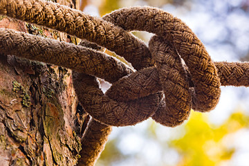 Strong tight knot. Connection and communication concept. Tourism activity and camping element.