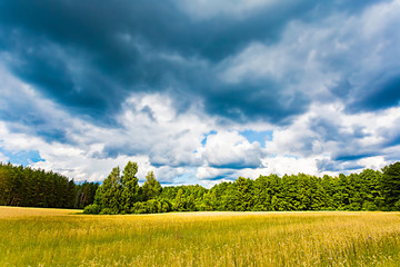 Summer field and forest before the rain. Warm weather and nature reserve.