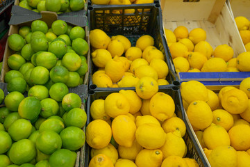 lemon lime on the shelves in the supermarket for customers, citrus