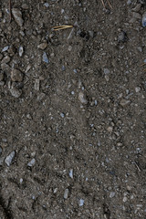 Texture