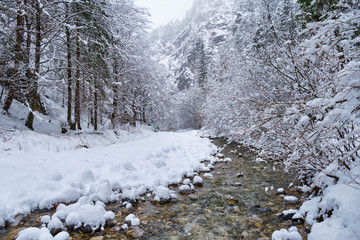 Fototapeta na wymiar Scenic landscape with flowing river at winter morning