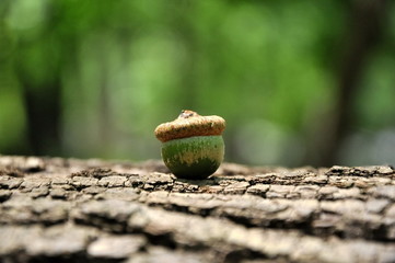 ...samotny © Rafa