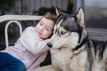 A girl hugs her dog. A dog is a person's best friend. Husky dog
