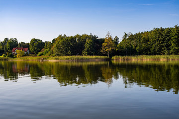 Krajobraz jeziora i drzew z odbiciem w wodzie