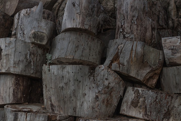 Wood log slices.