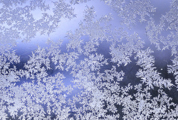 frost crystals