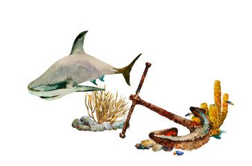 Obraz premium Watercolor underwater scene with anchor on the sea bottom, with seeweeds and small fishes, and big shark. Original concept of shipwerk and diving backdrop