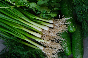 Vegetable green composition- green onions, parsley, cucumbers, coriander. Green background 