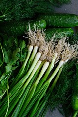 Vegetable green composition- green onions, parsley, cucumbers, coriander. Green background 