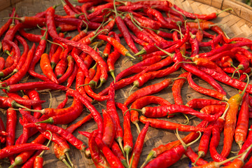 red hot chili pepper 