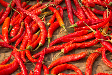 red chilli spicy peppers in pods