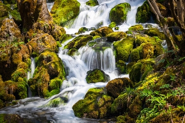 Fototapeta na wymiar Waterfall on the river in early spring. Grza river in Serbia.