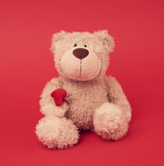  little brown teddy bear, toy is sitting on a red background