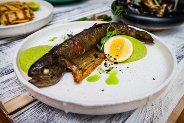 Fish