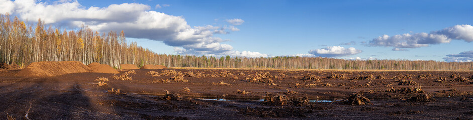 Panorama of peat field. - 340421314