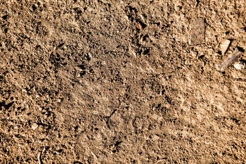 Texture